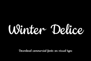 Winter Delice-字体设计